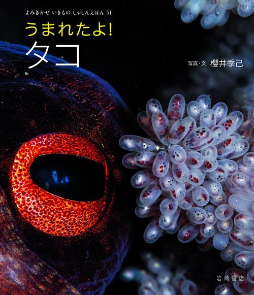 うまれたよ！　タコ