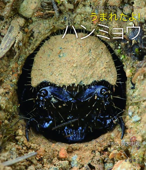 うまれたよ！　ハンミョウ