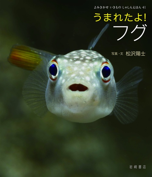 うまれたよ！　フグ