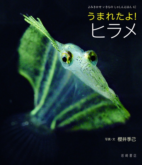 うまれたよ！　ヒラメ