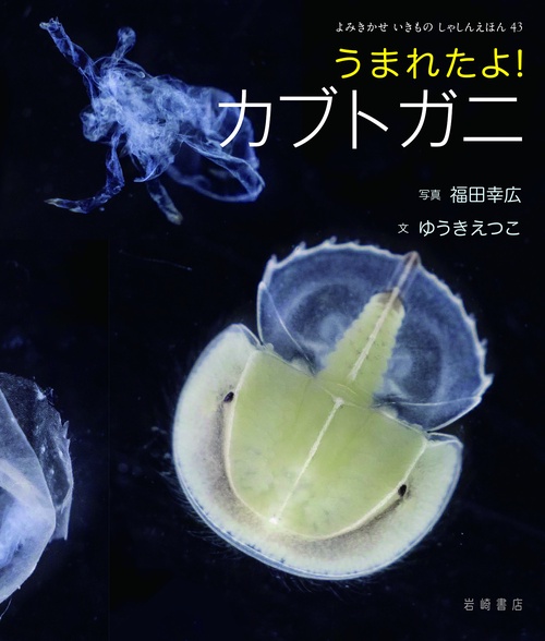 うまれたよ！　カブトガニ