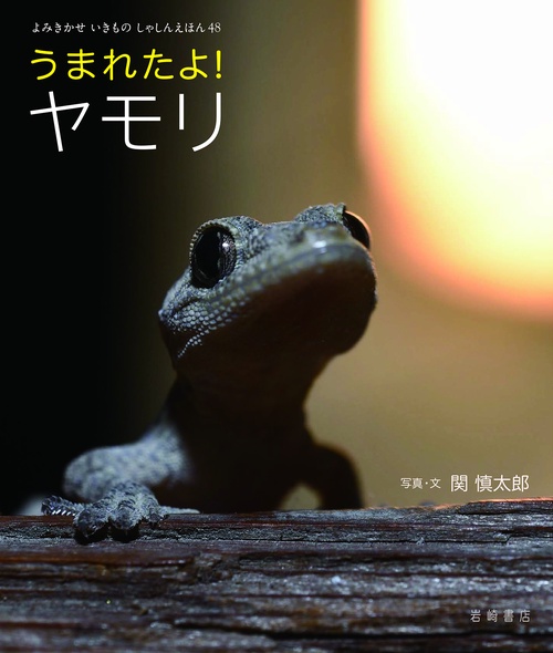 うまれたよ！　ヤモリ
