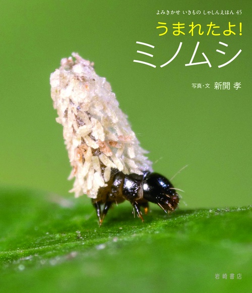 うまれたよ！　ミノムシ