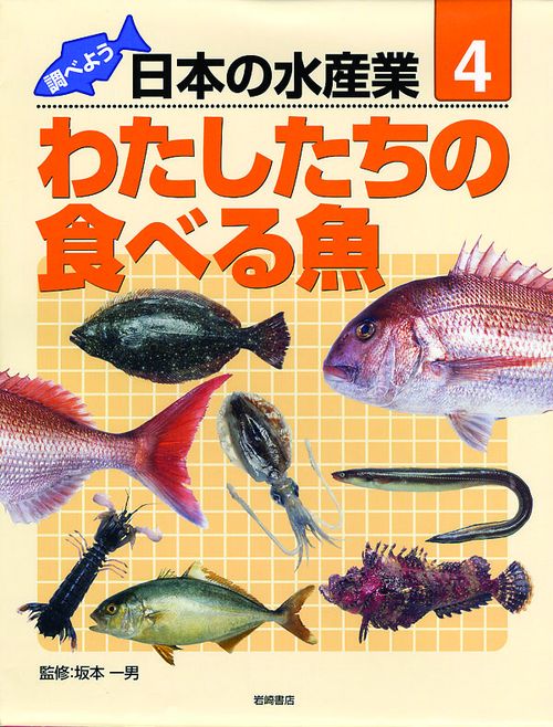 調べよう日本の水産業 4巻