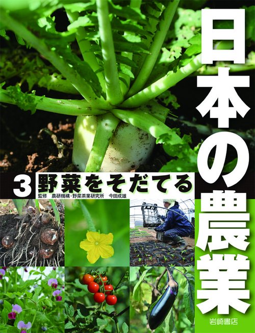日本の農業 3