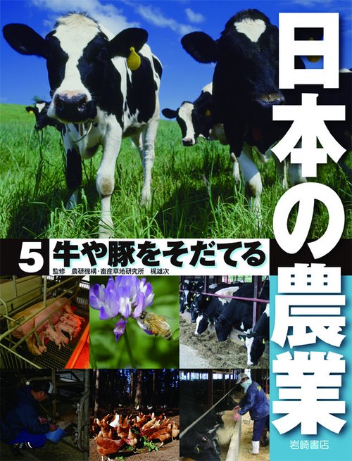 日本の農業 5