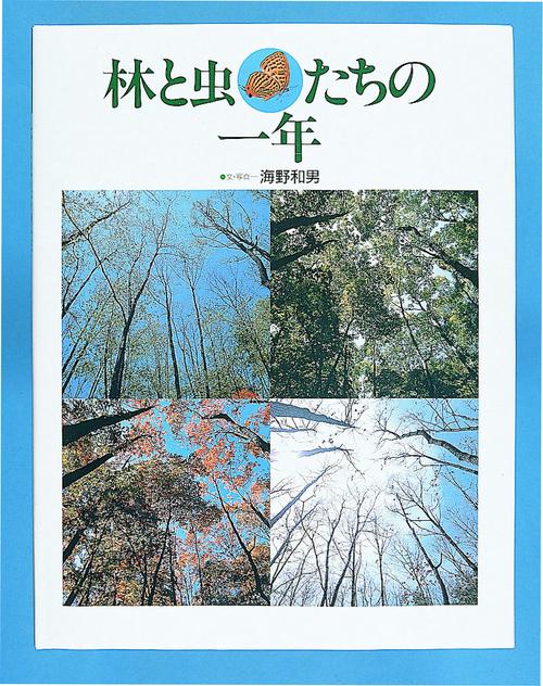 林と虫たちの一年