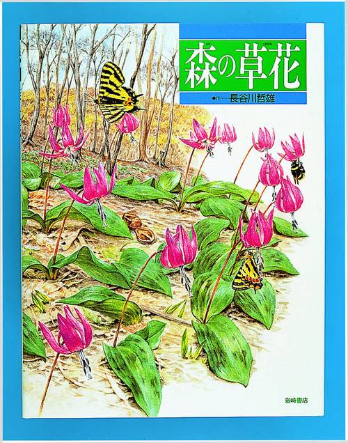 森の草花