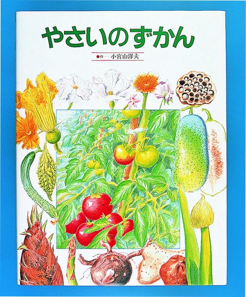 やさいのずかん
