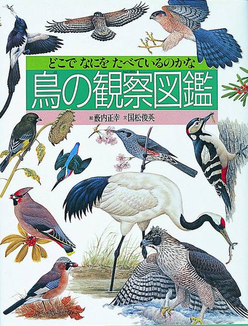 鳥の観察図鑑