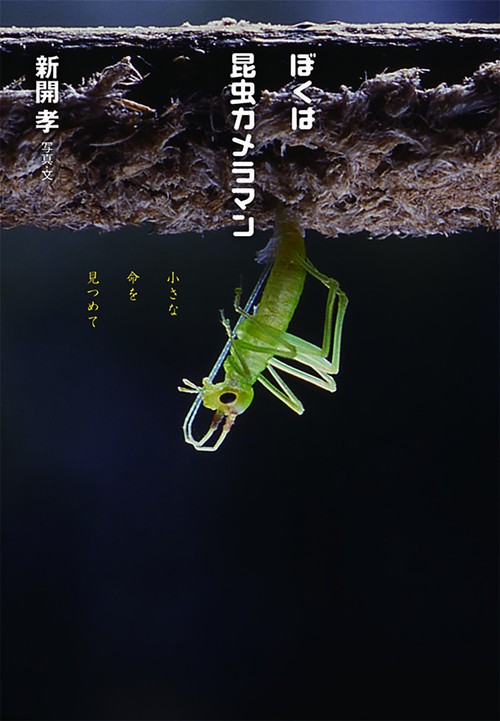ぼくは昆虫カメラマン 小さな命を見つめて