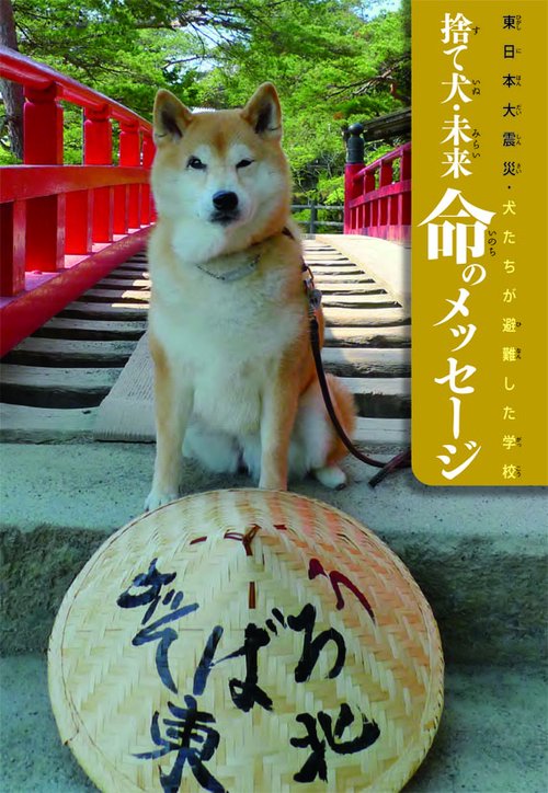 捨て犬・未来命のメッセージ 東日本大震災・犬たちが避難した学校