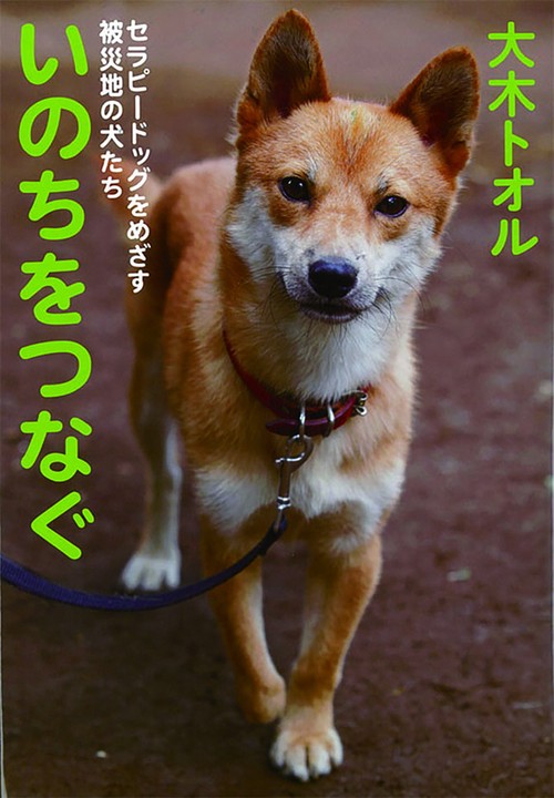いのちをつなぐ セラピードッグをめざす被災地の犬たち