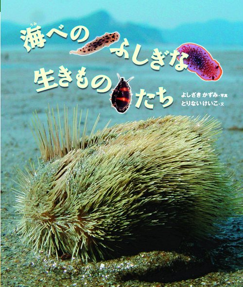 海べのふしぎな生きものたち