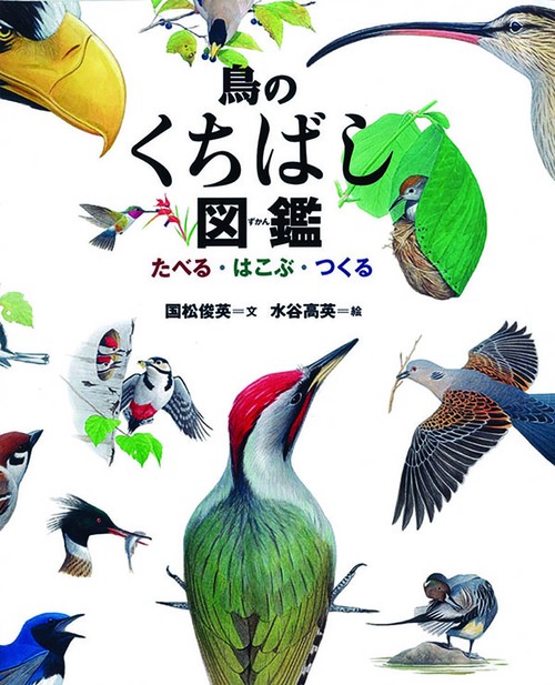 鳥のくちばし図鑑