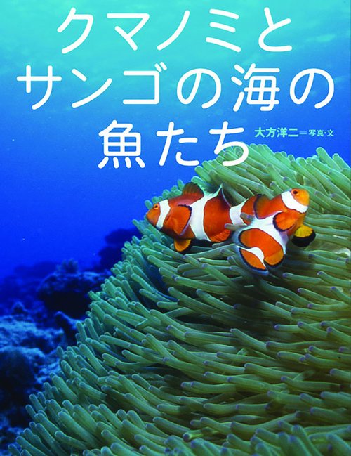クマノミとサンゴの海の魚たち