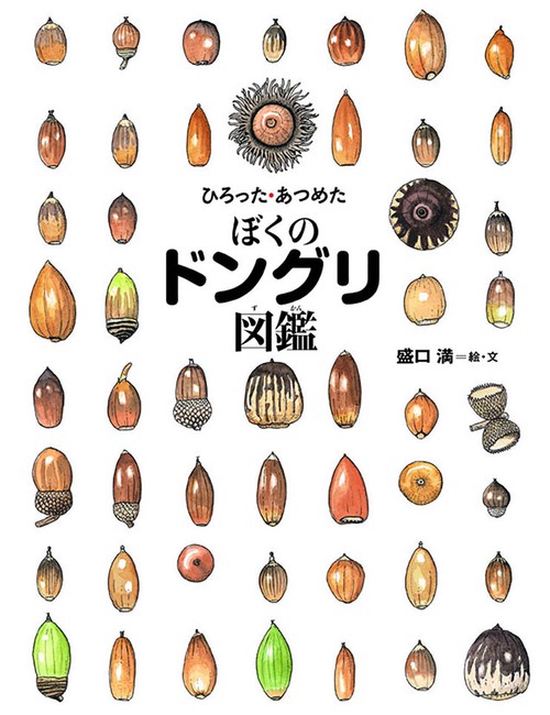 ぼくのドングリ図鑑 ひろった・あつめた