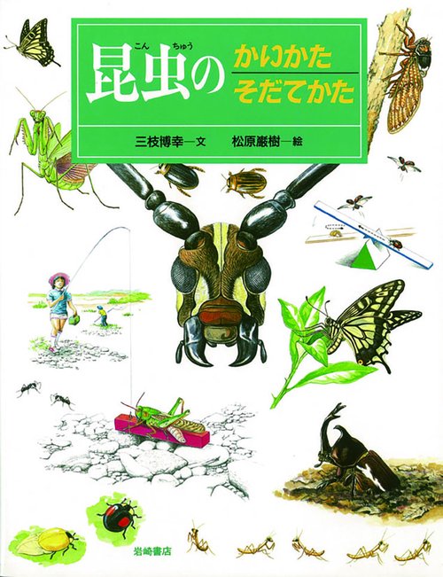 昆虫のかいかたそだてかた