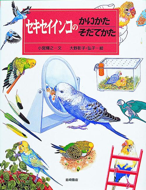 セキセイインコのかいかたそだてかた