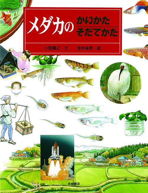 メダカのかいかたそだてかた