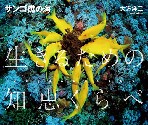 サンゴ礁の海　生きるための知恵くらべ