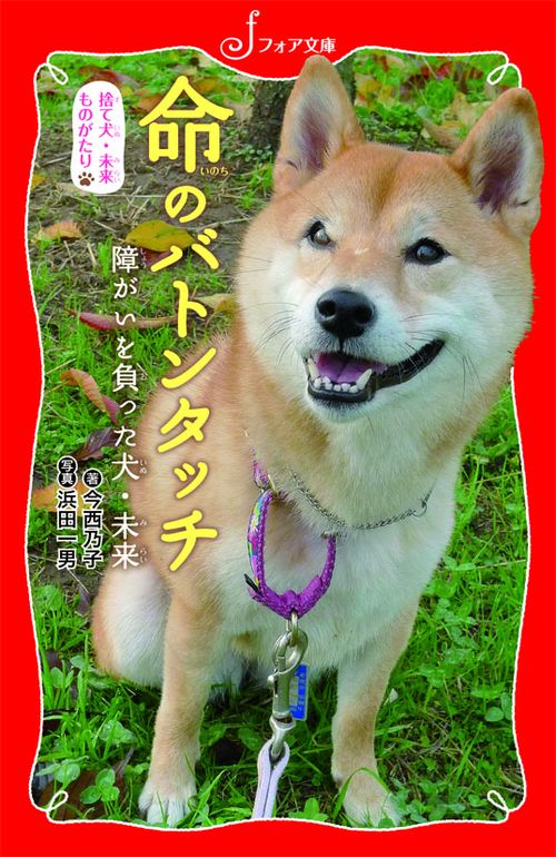 命のバトンタッチ 捨て犬・未来ものがたり 障がいを負った犬・未来