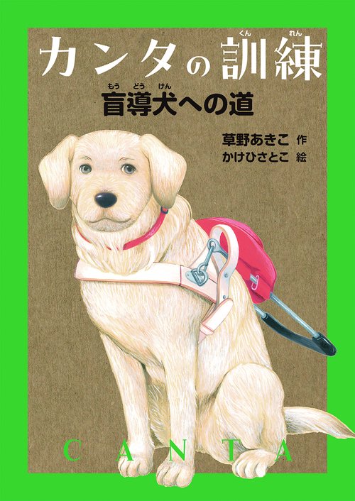カンタの訓練　盲導犬への道