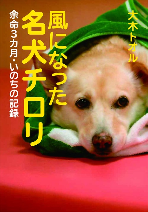 風になった名犬チロリ 余命3カ月・いのちの記録