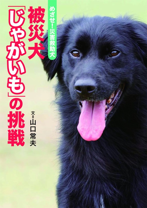 被災犬「じゃがいも」の挑戦 めざせ!災害救助犬
