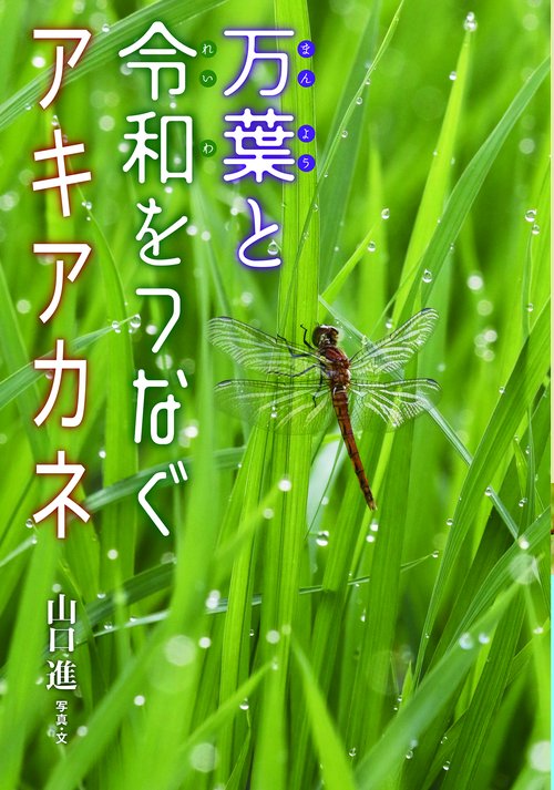 万葉と令和をつなぐアキアカネ