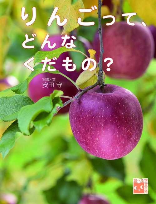 りんごって、どんなくだもの?