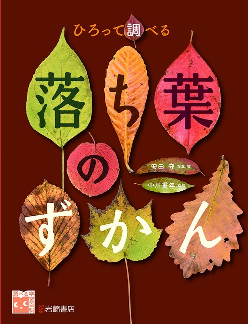 ひろって調べる落ち葉のずかん