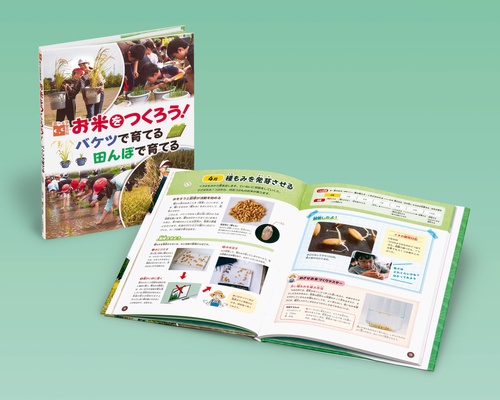 お米をつくろう！バケツで育てる　田んぼで育てる