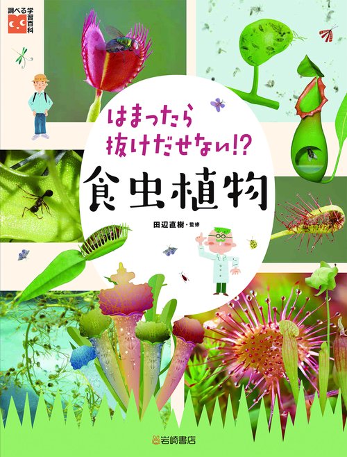 はまったら抜けだせない！？　食虫植物