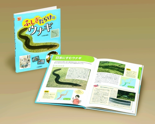 ふしぎだらけのウナギ