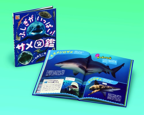ふしぎがいっぱい！サメ図鑑