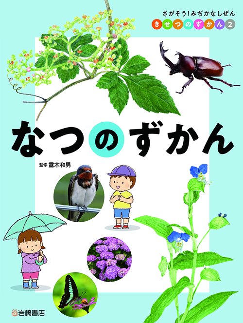 なつのずかん