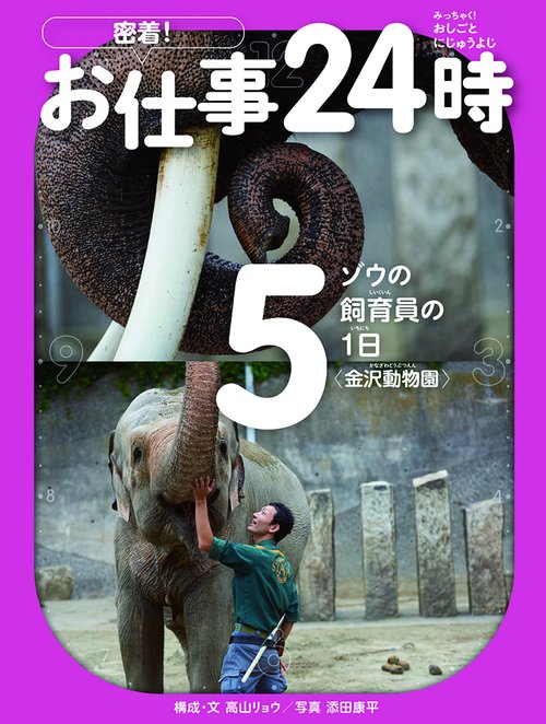 ゾウの飼育員の1日〈金沢動物園〉