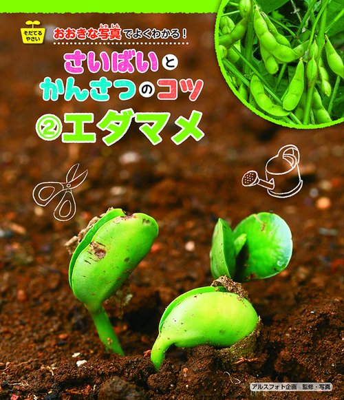 エダマメ