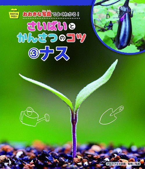 ナス