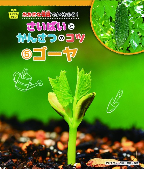 ゴーヤ