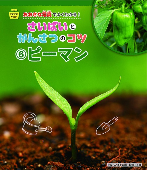 ピーマン