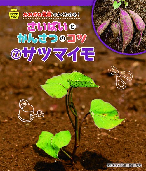 サツマイモ