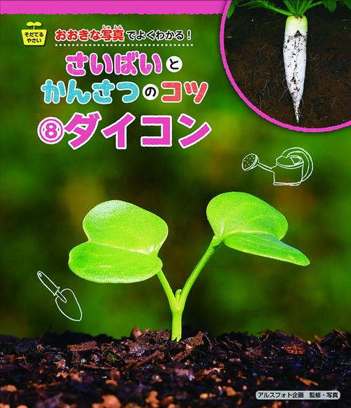 ダイコン