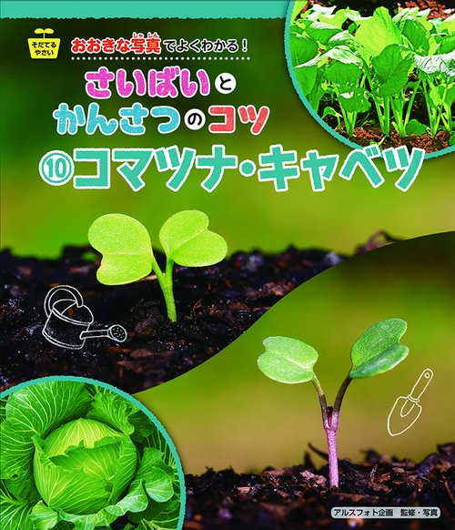コマツナ・キャベツ