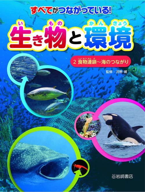 食物連鎖海のつながり