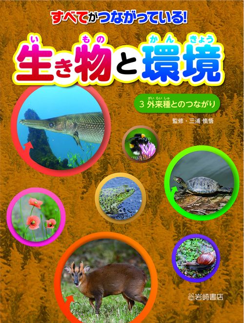 外来種とのつながり