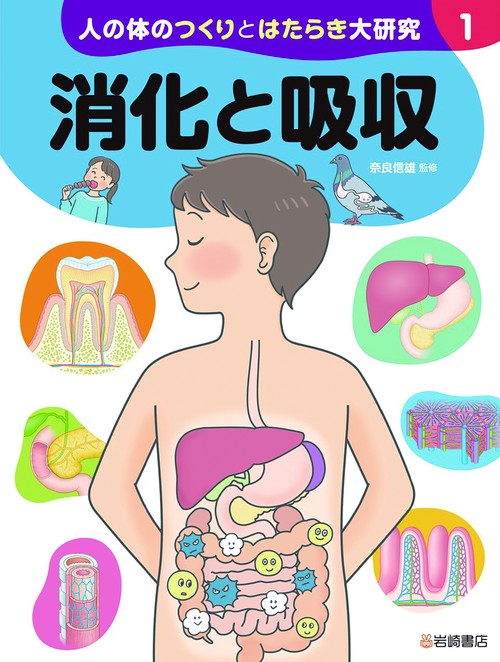 消化と吸収