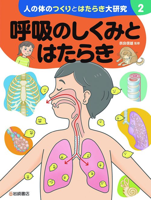 呼吸のしくみとはたらき