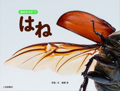 はね